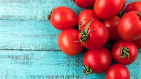 Tomates maduros para conservar
