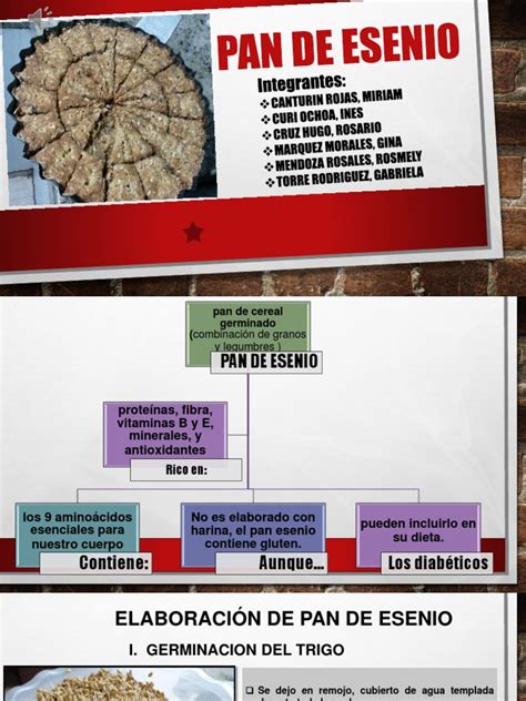 Proceso de germinación de cereales para pan esenio