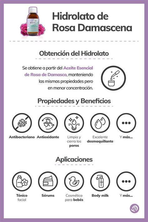 Infografía sobre los beneficios del hidrolato de rosa en la piel