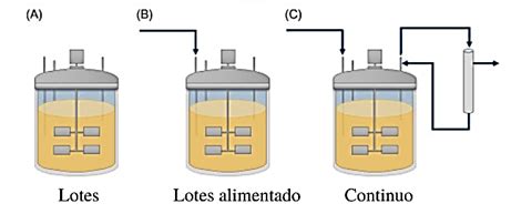 Comparativa visual entre un fermentador por lotes y un fermentador de flujo continuo