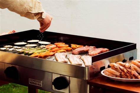 Tipos de planchas de cocina