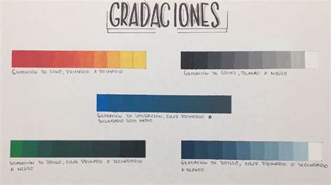 Gama cromática de pasteles profesionales mostrando las gradaciones de color
