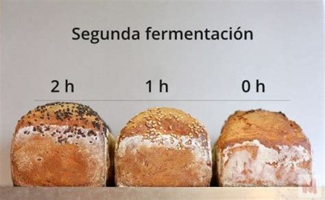 Comparación de panes con diferentes tiempos de fermentación
