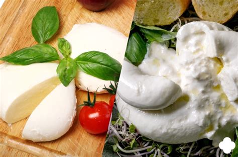Ilustración que muestra la diferencia entre burrata y mozzarella