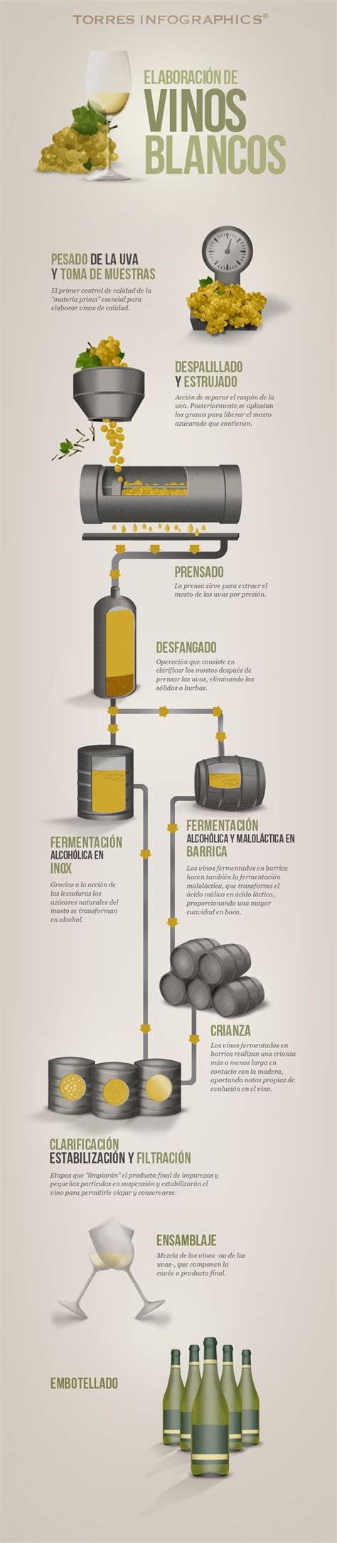 Infografía sobre la elaboración tradicional del alioli