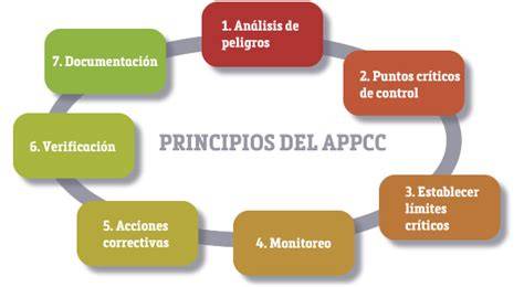 Esquema de los 7 principios del sistema APPCC en una cocina profesional