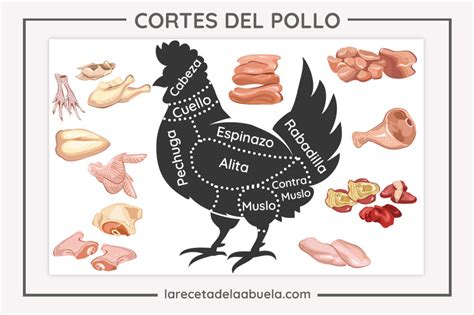 Esquema de las partes del pollo