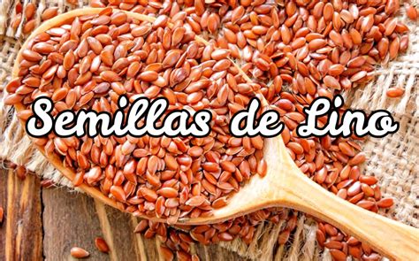 Semillas de lino y sus propiedades