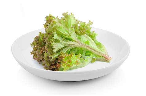 Mercimek Köftesi en un plato con hojas de lechuga y rodajas de limón