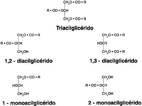 Esquema de la estructura química de los monoglicéridos y diglicéridos