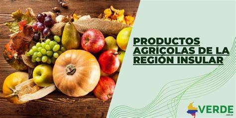 Infografía sobre la variedad de productos agrícolas y alimentarios de la provincia de Alicante