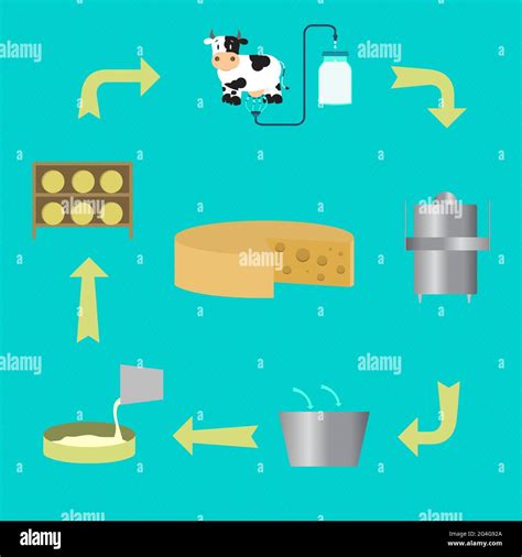 Proceso de elaboración del queso cheddar