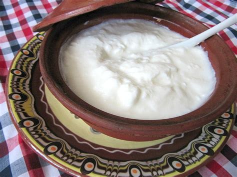 Yogur búlgaro tradicional