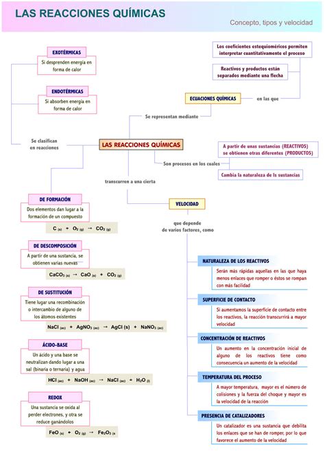 Esquema de las reacciones químicas de la alicina en el ajo