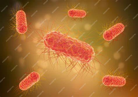 Microorganismo Escherichia coli