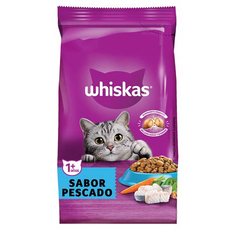 Gato adulto comiendo alimento seco