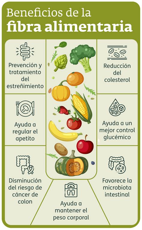 Infografía sobre los beneficios de la fibra en la dieta