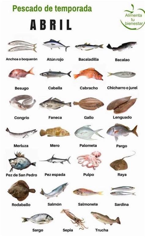 Variedad de pescados para celebraciones