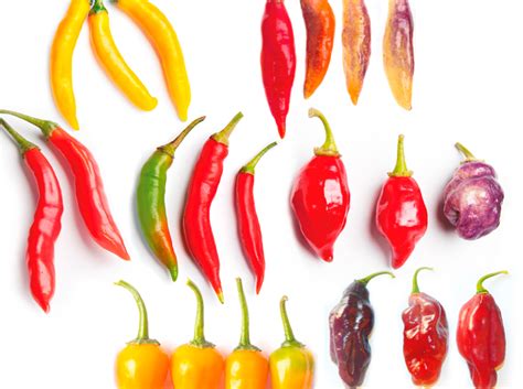 Variedad de ajíes colombianos