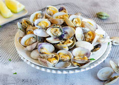 Almejas frescas en un plato listas para cocinar