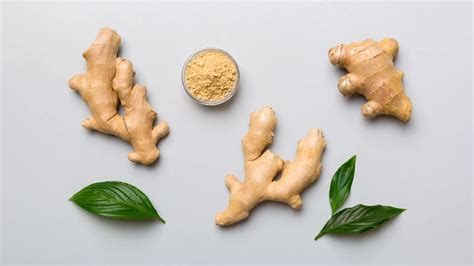 Jengibre fresco y otros ingredientes para la fermentación