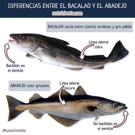 Diferencias entre bacalao y eglefino