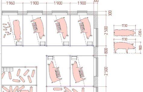Diagrama de espacios mínimos para cerdos según su peso