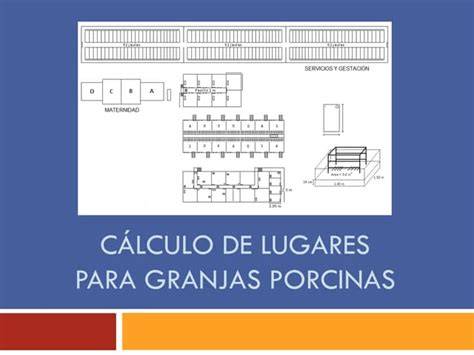 Tabla de control de producción para granjas porcinas
