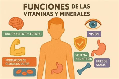 Vitaminas y minerales presentes en el salmón
