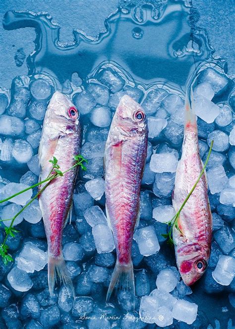 Salmonetes frescos sobre hielo