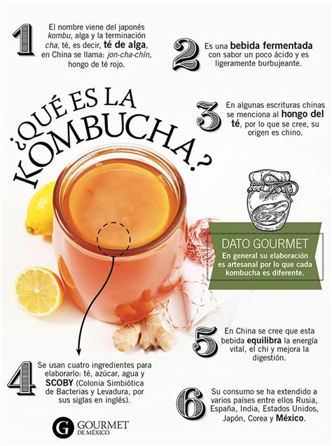 Infografía sobre la kombucha y sus beneficios
