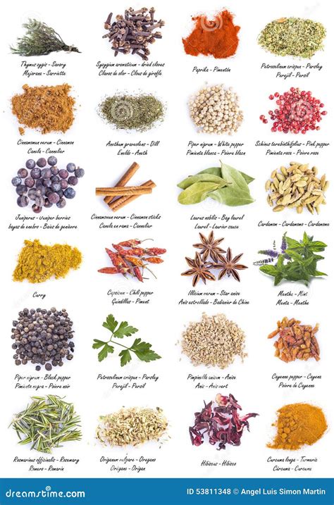 Especias y hierbas recomendadas para cocinar legumbres