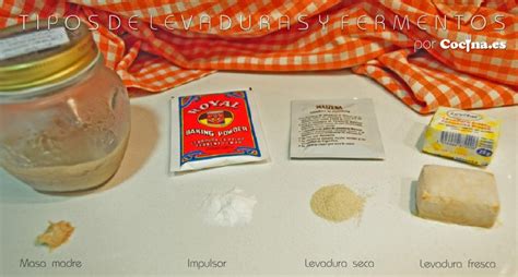 Tipos de levadura: fresca, seca y química