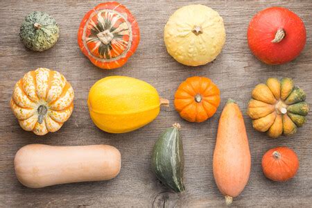 Calabazas de diferentes tipos y colores