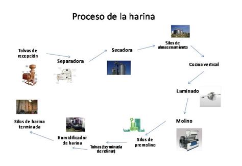 Proceso de fabricación de la harina de uva