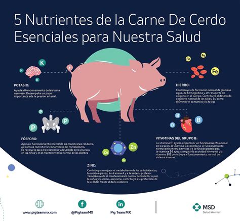 Infografía sobre los nutrientes clave de la carne de ternera gallega