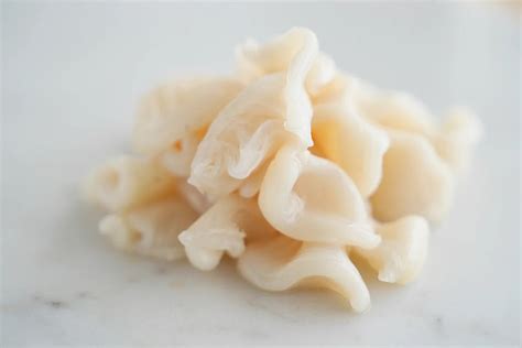 Callos y cocochas de bacalao