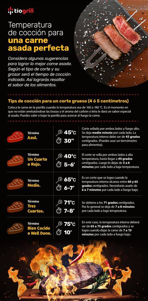 Infografía mostrando consejos para cocinar carne y verduras en parrilla eléctrica