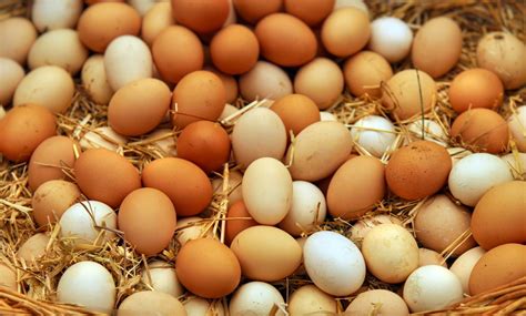 Variedad de huevos en el supermercado