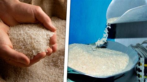 Esquema de aplicación de granos de arroz en la superficie de una maceta