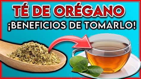 Pesto de orégano en un f<h1>Cómo usar el orégano en los espaguetis: mejores formas y consejos gastronómicos</h1><p>El orégano no sólo es una hierba aromática muy sabrosa, sino que también tiene propiedades antioxidantes, antibacterianas y anti-inflamatorias. Su versatilidad lo convierte en un ingrediente indispensable en la cocina italiana y mediterránea. Ya sea que prefieras la pasta comercial o te aventures con la <strong>pasta fresca casera</strong>, el orégano aporta un toque de distinción y salud a tus platos.</p><tagimg>hojas de orégano fresco listas para cocinar