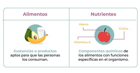 Infografía comparativa de nutrientes entre galletas y alimentos naturales