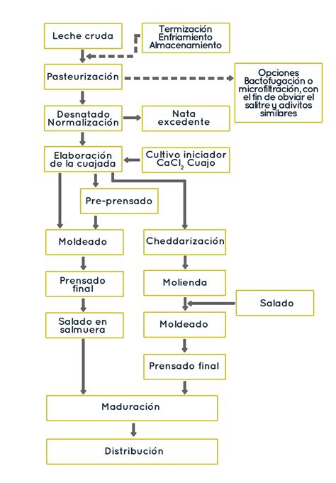 Esquema del proceso de fabricación de queso con énfasis en la fermentación láctica