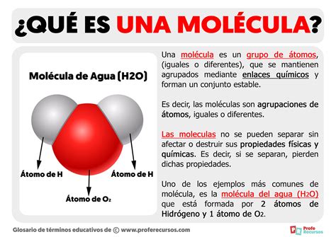 Representación de la molécula de gluten y su interacción con las vellosidades intestinales