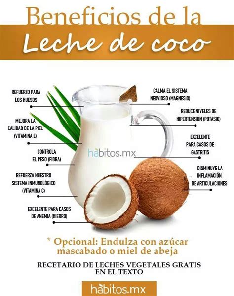 Infografía sobre los beneficios de la leche de coco