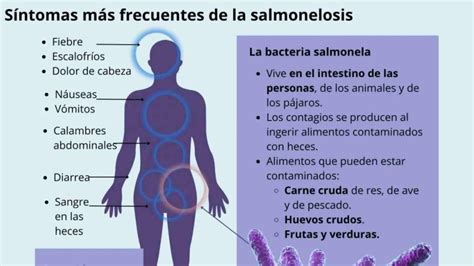 Factores de riesgo de salmonelosis por consumo de huevo crudo