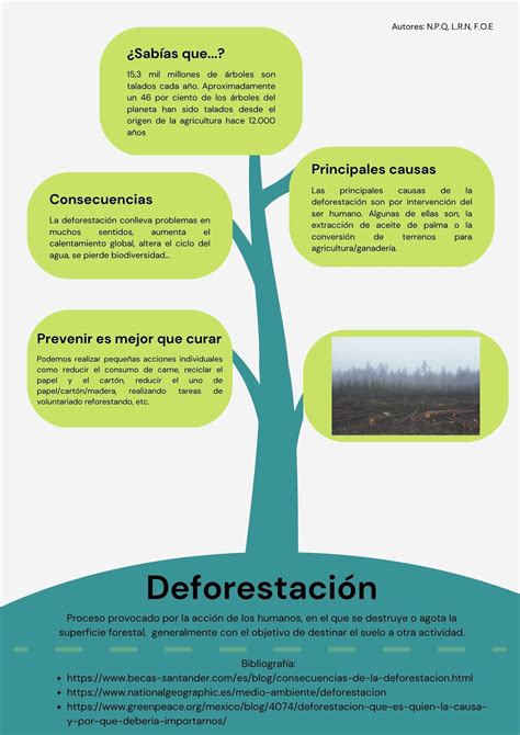 Infografía sobre el impacto de la deforestación por palma aceitera
