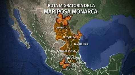Mapa de distribución de la mariposa rosa carmesí en la India