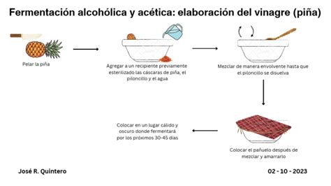 Proceso de fermentación acética para la producción de vinagre