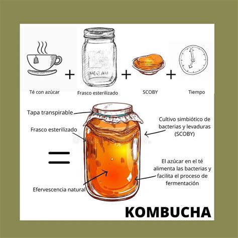 Ingredientes principales de la kombucha: té, azúcar y SCOBY